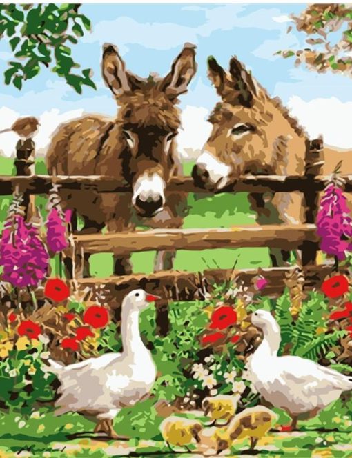 Donkeys in Farm paint by numbers