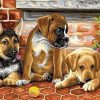 Puppies With A Tennis Ball paint by numbers