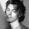 Black & white Harry Edward Styles NEW Paint By Numbers
