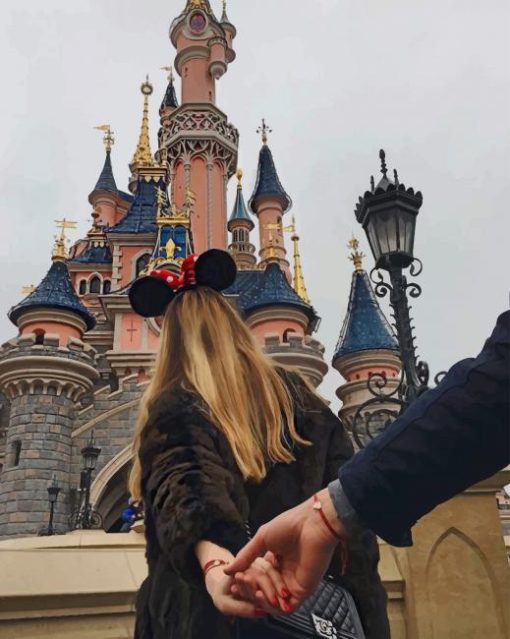 Follow Me To Disneyland Castle paint by numbers
