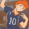 Hinata Haikyuu Paint by numbers