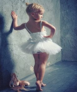 Little Ballerina paint by numbers