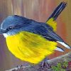 Black And Yellow Bird Paint by numbers