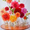 Flower Vases paint by numbers