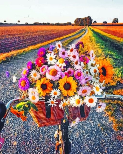 Flowers And Bike paint by numbers