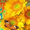 Butterfly On A Sunflower paint by numbers