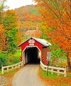 New Baltimore Covered Bridge paint by numbers