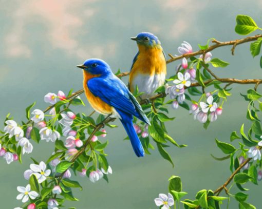 Spring Bluebirds paint by number