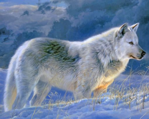 Winter Wolf paint by numbers