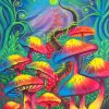 Colorful Mushrooms Paint by numbers