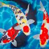 Koi Fish Underwater Paint by numbers