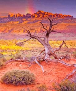 Arches-National-Park-Desert-paint-by-number