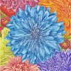 chrysanthemum-paint-by-numbers