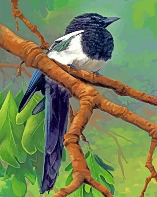 Magpie Bird On Stick Paint by numbers