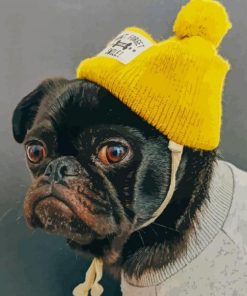 pug-with-yellow-hat-paint-by-numbers-510x639-1