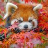 red-panda-and-leaves-paint-by-numbers