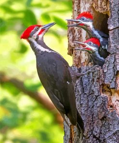 woodpeckers-paint-by-numbers