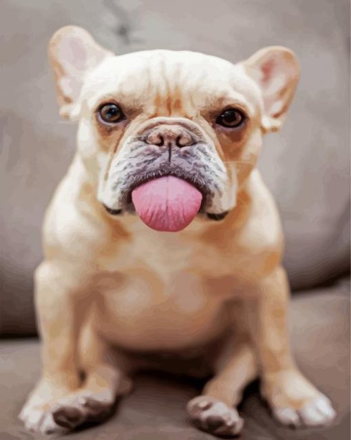 Cute Frenchie Puppy Animal paint by numbers