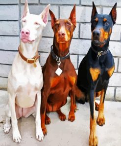 Doberman paint by numbers