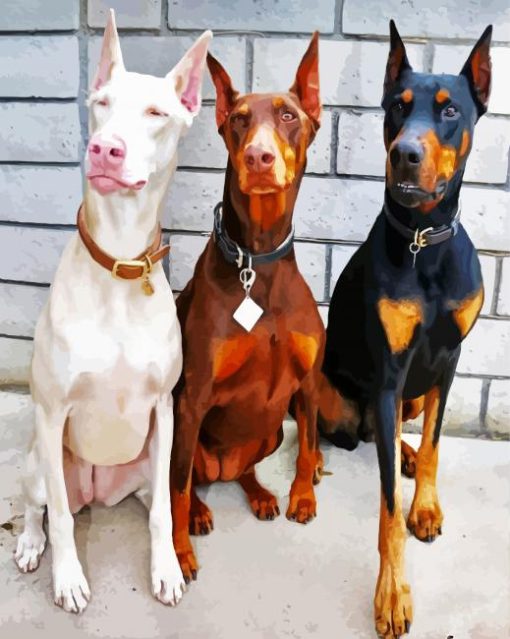 Doberman paint by numbers