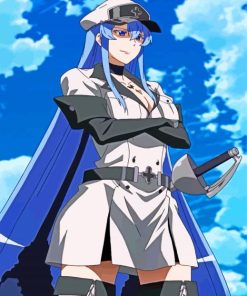 Esdeath Anime Agame Ge Kill paint by numbers