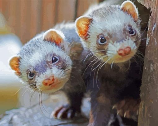 Two Cute Ferret Animal paint by numbers