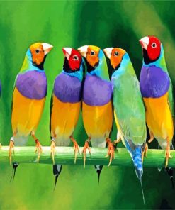 Group Of Finches Birds paint by numbers