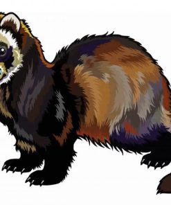 Ferret Illustration paint by numbers