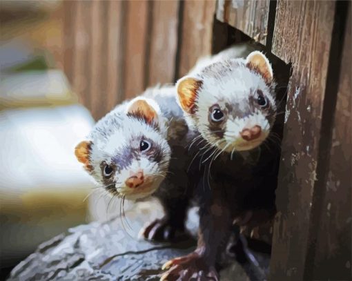 Two Cute Ferrets Animals paint by numbers