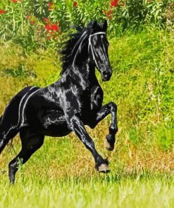 Aestethic Friesian Horse paint by number