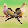 Cute Doves Birds paint by numbers