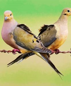 Cute Doves Birds paint by numbers