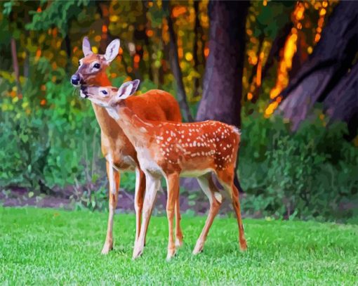 Two Cute Does In Forest paint by numbers