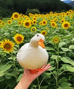 White Duck paint by numbers