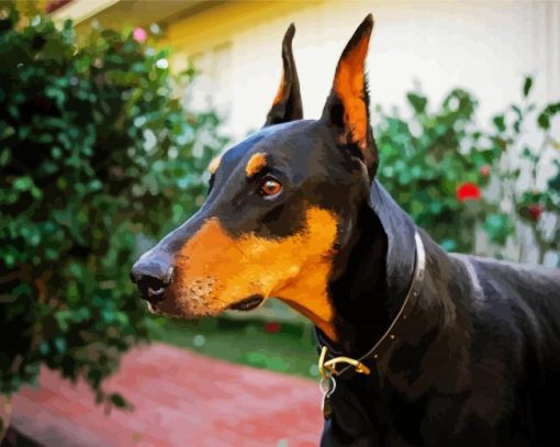 Doberman Pinscher Dog Breed paint by numbers