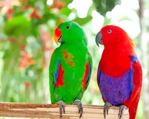 Electus Parrots Birds paint by numbers