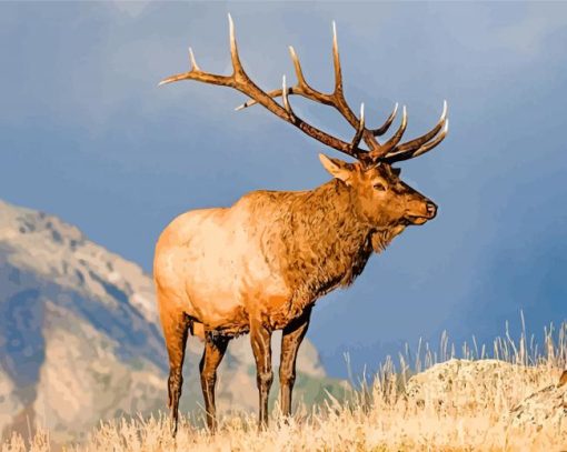 North American Elk Animal paint by numbers