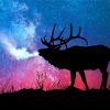 North American Elk Silhouette paint by numbers