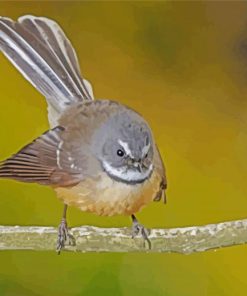 Cute Fantail Bird paint by number