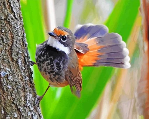 Rufous Fantail Bird paint by number