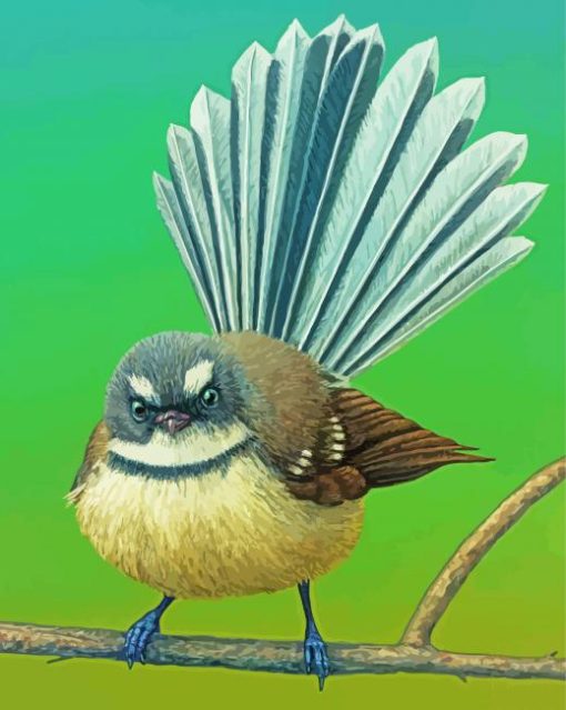 Cute Little Fantail Bird paint by numbers