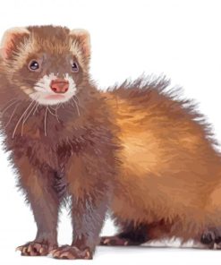 Cute Dark Brown Ferret paint by numbers