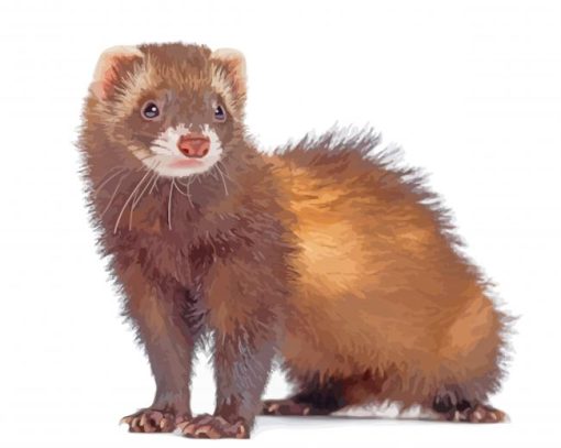 Cute Dark Brown Ferret paint by numbers