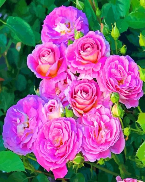 Purple Floribunda Flowers paint by numbers