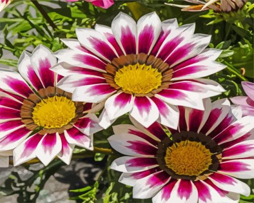 purple chrysanthemum Flowers paint by numbers