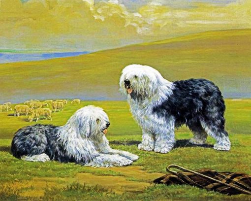 Cute Sheepdogs Animal paint by numbers