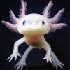 Cute Amphibian Axolotl paint by numbers