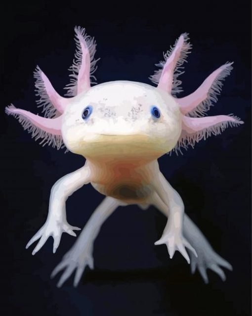 Cute Amphibian Axolotl paint by numbers