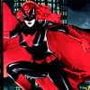 BatWoman Superhero paint by numbers