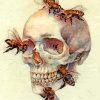 Bees In A Head Bones paint by numbers